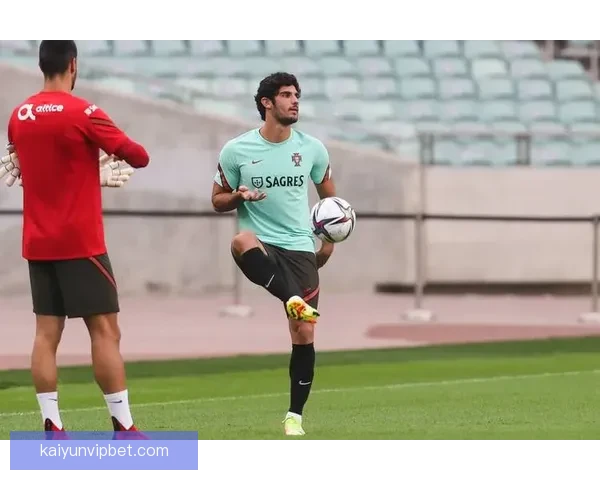 世界杯足球盛宴：权威竞猜平台带你纵享精彩对决