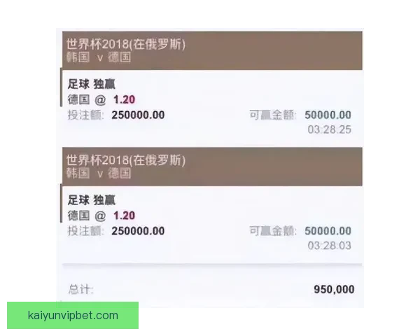 全球视角深度解析世界杯买球平台玩法策略安全指南与未来趋势